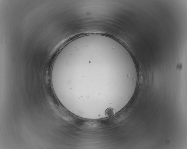 X0000110860351200906180951