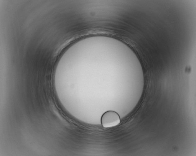 X0000110860352200906180951