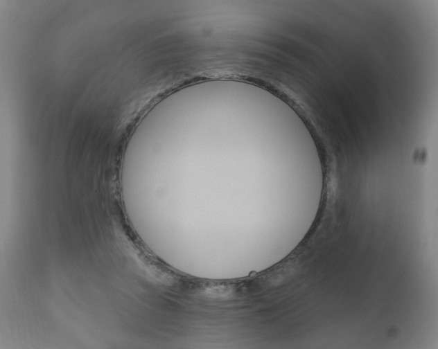 X0000110860353200906180951