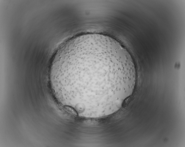X0000110860354200906180951