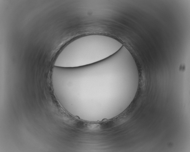 X0000110860355200906180951