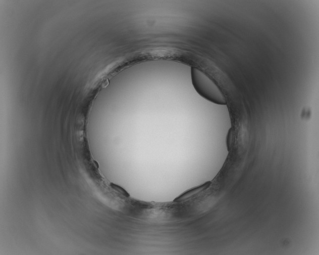 X0000110860356200906180951