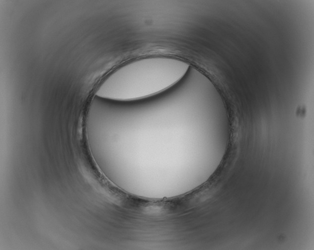 X0000110860358200906180951