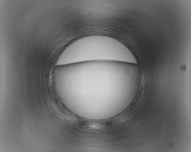 X0000110860360200906180951