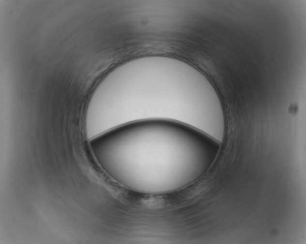 X0000110860362200906180951