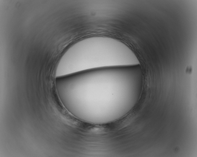 X0000110860364200906180951