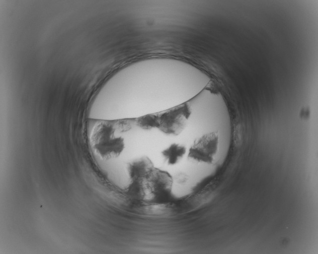 X0000110860365200906180951