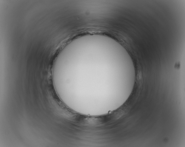 X0000110860367200906180951