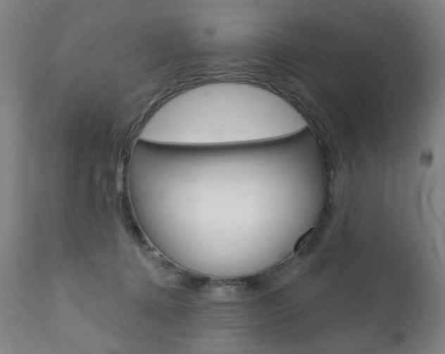 X0000110860368200906180951