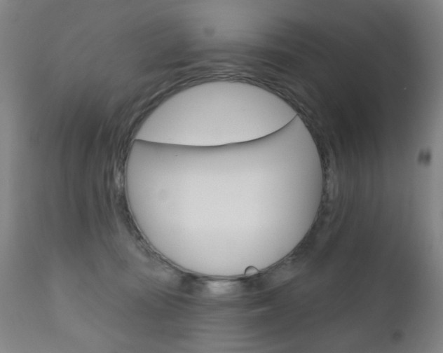 X0000110860371200906180951