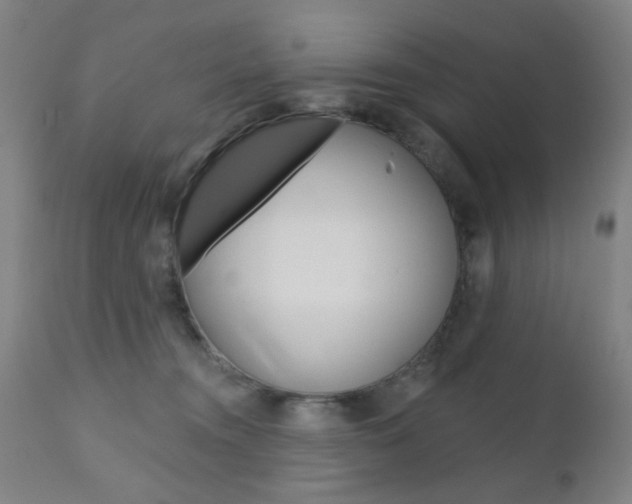 X0000110860372200906180951