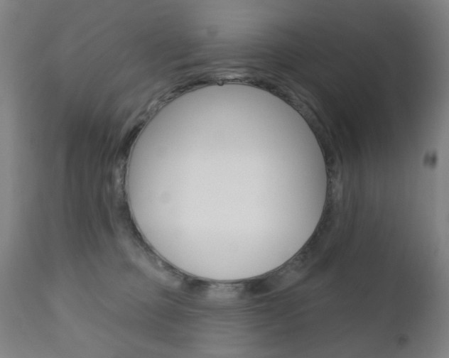 X0000110860373200906180951