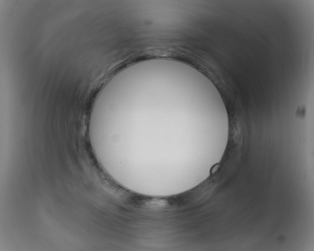 X0000110860374200906180951