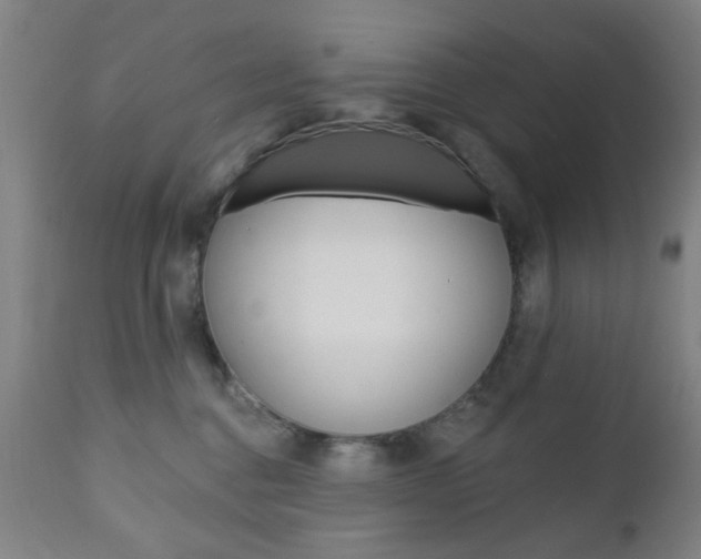 X0000110860376200906180951