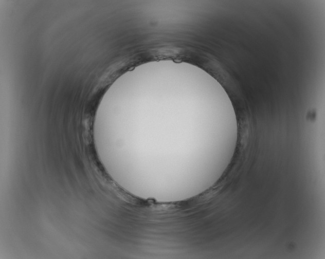 X0000110860378200906180951