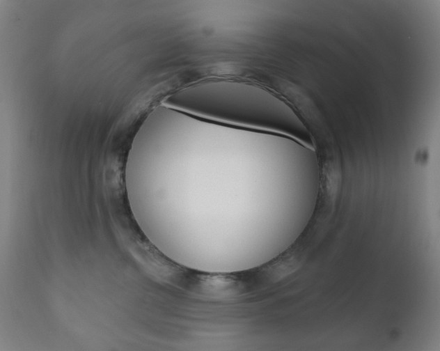 X0000110860380200906180951