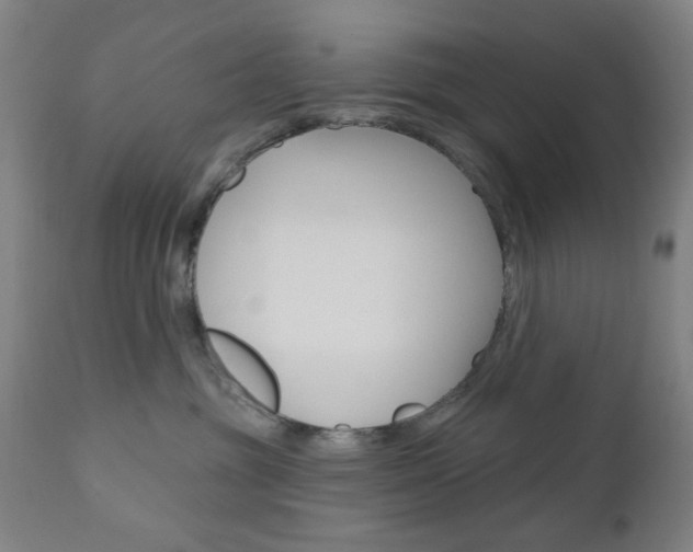 X0000110860381200906180951