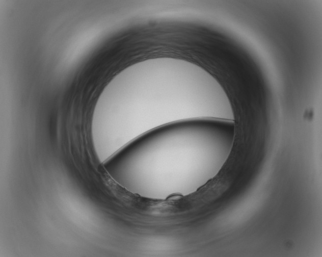 X0000110860382200906180951