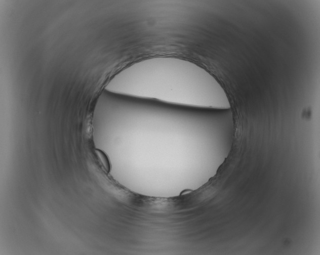 X0000110860383200906180951