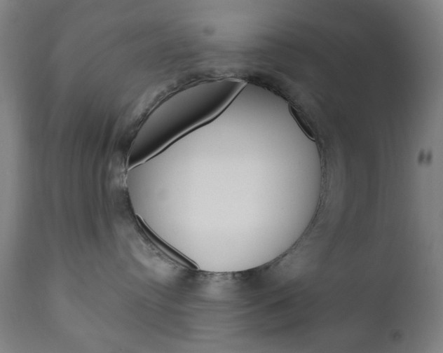 X0000110860384200906180951