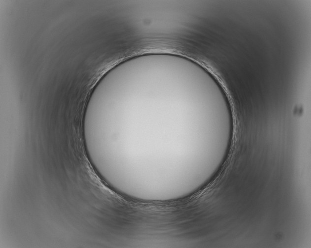 X0000110860385200906180950