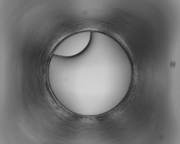 X0000110860386200906180950
