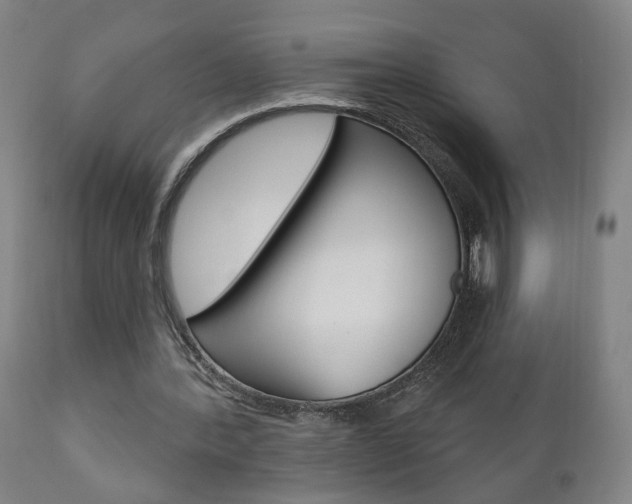 X0000110860388200906180950