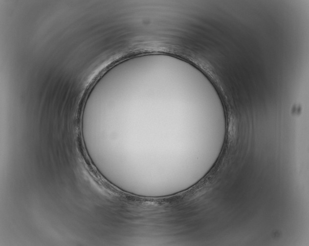X0000110860390200906180950