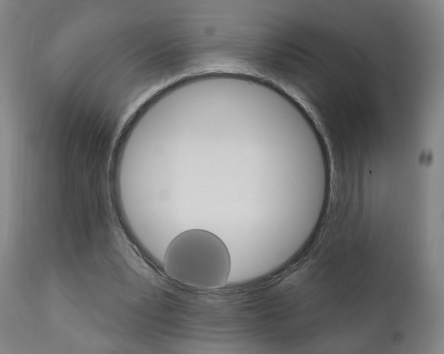 X0000110860391200906180950