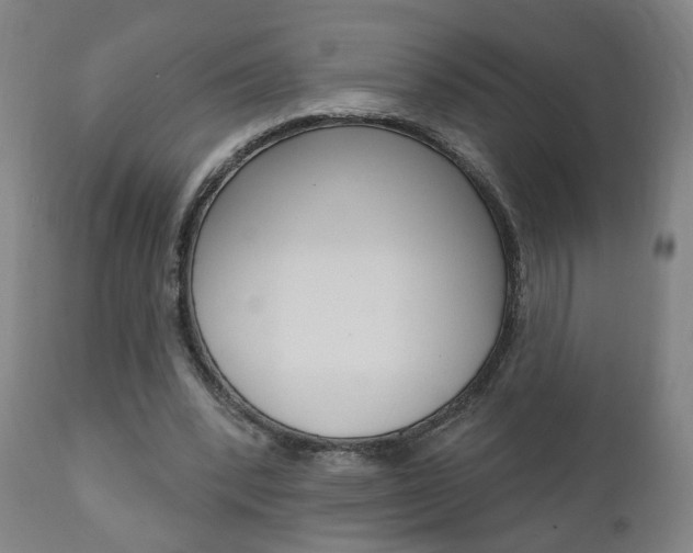 X0000110860392200906180950