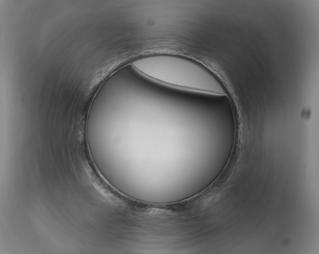 X0000110860393200906180950