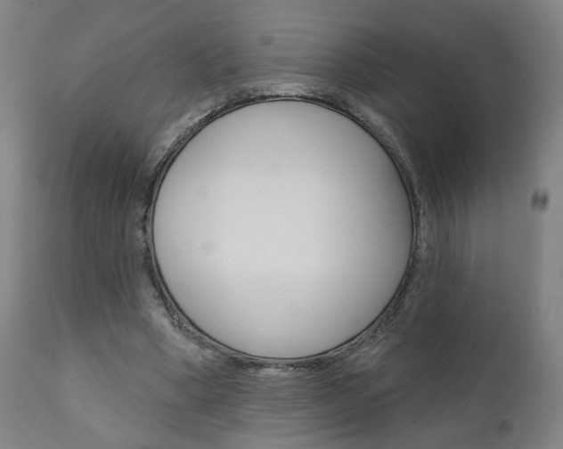 X0000110860394200906180950