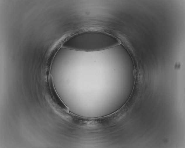 X0000110860395200906180950