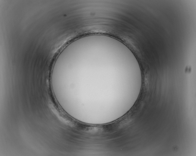 X0000110860398200906180950