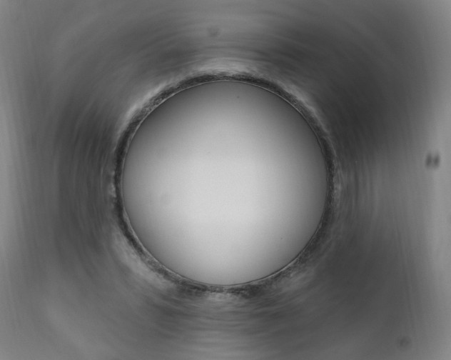 X0000110860399200906180950