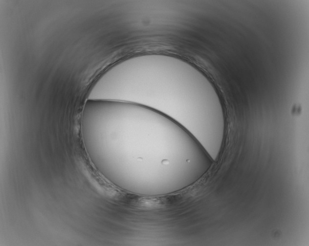 X0000110860405200906180950