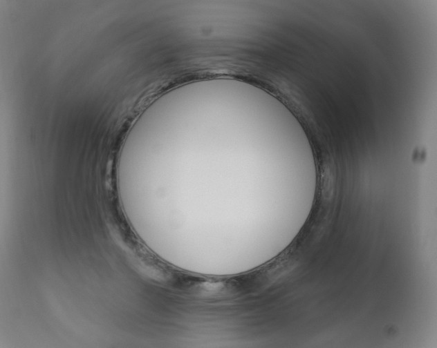 X0000110860406200906180950