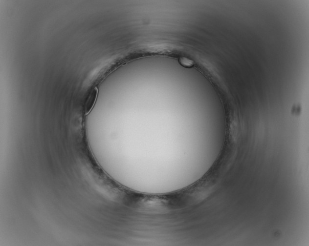 X0000110860407200906180950