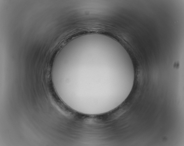 X0000110860408200906180950