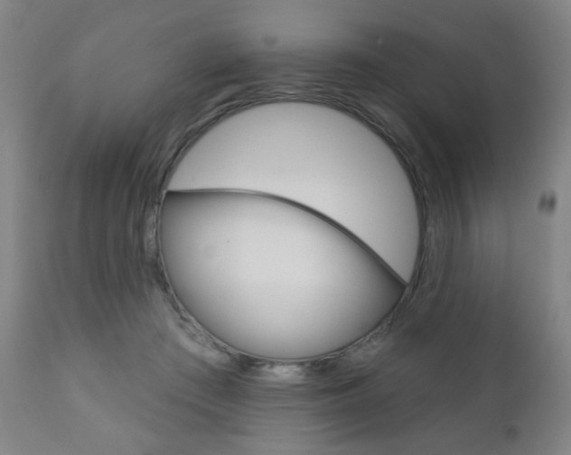 X0000110860409200906180950