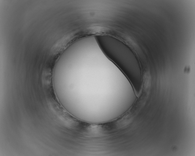 X0000110860413200906180950