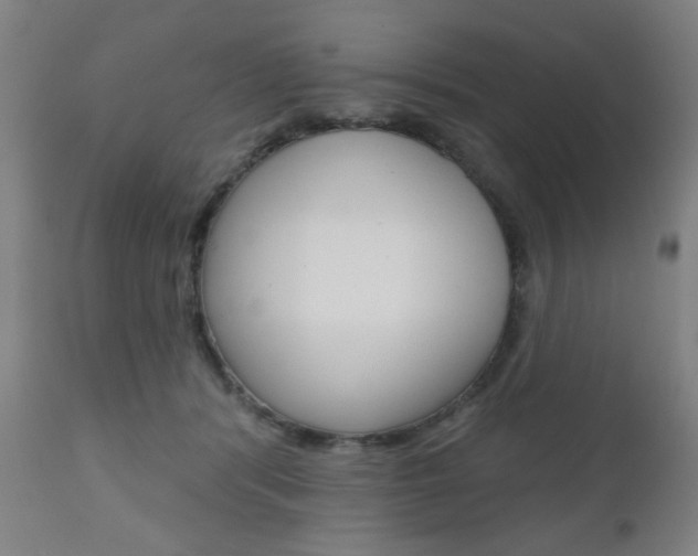X0000110860416200906180950