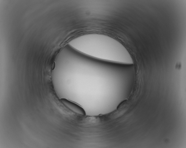 X0000110860421200906180950