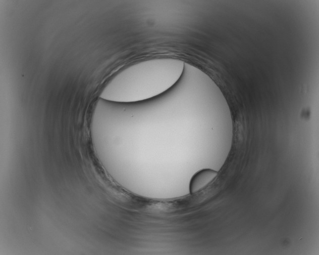 X0000110860422200906180950
