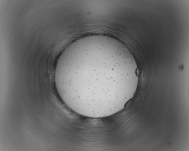 X0000110860424200906180950