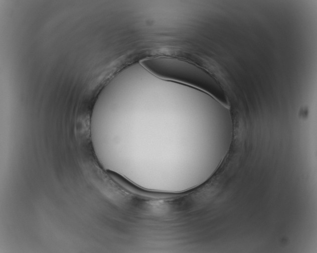X0000110860425200906180950