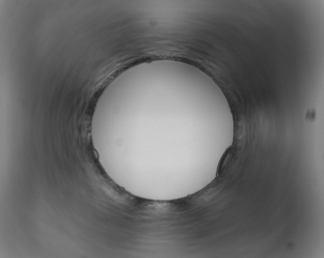 X0000110860428200906180950