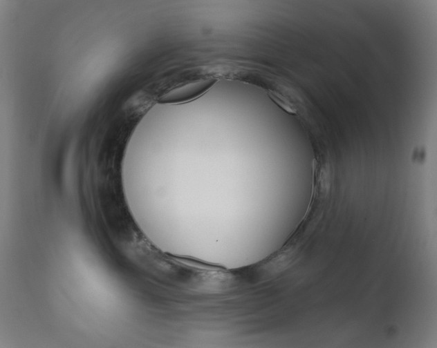 X0000110860429200906180950