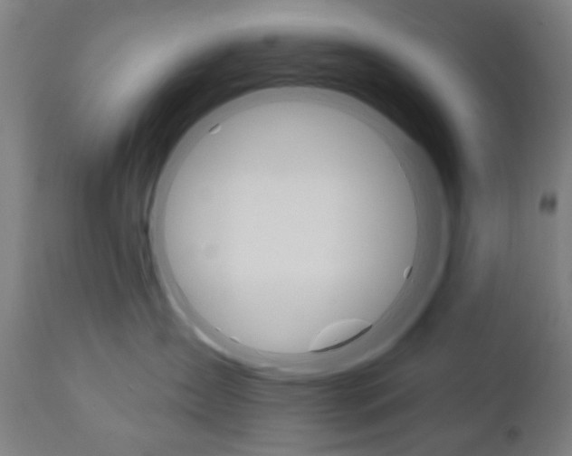 X0000110860431200906180950