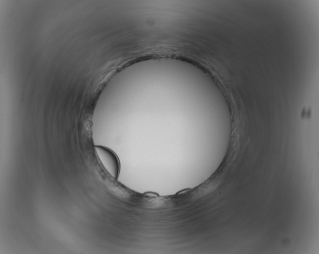 X0000110860432200906180950
